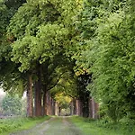 De Bilderberg 4*