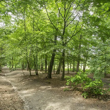 デ ビルデベルフ ホテル 4*