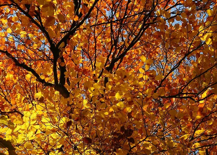 De Bilderberg Hotel Oosterbeek