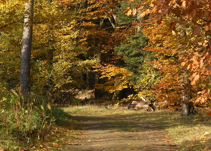 호텔 De Bilderberg