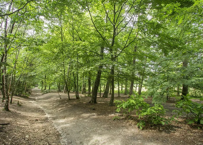 De Bilderberg Hotell 4*